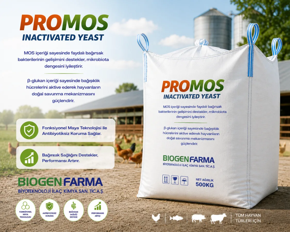 PromoS